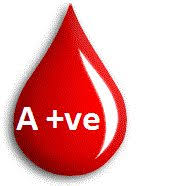 need A+ve blood near Erragadda sanathnagar Telangana