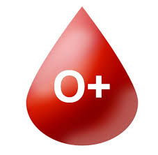 need O+ve blood near Niloufer Telangana